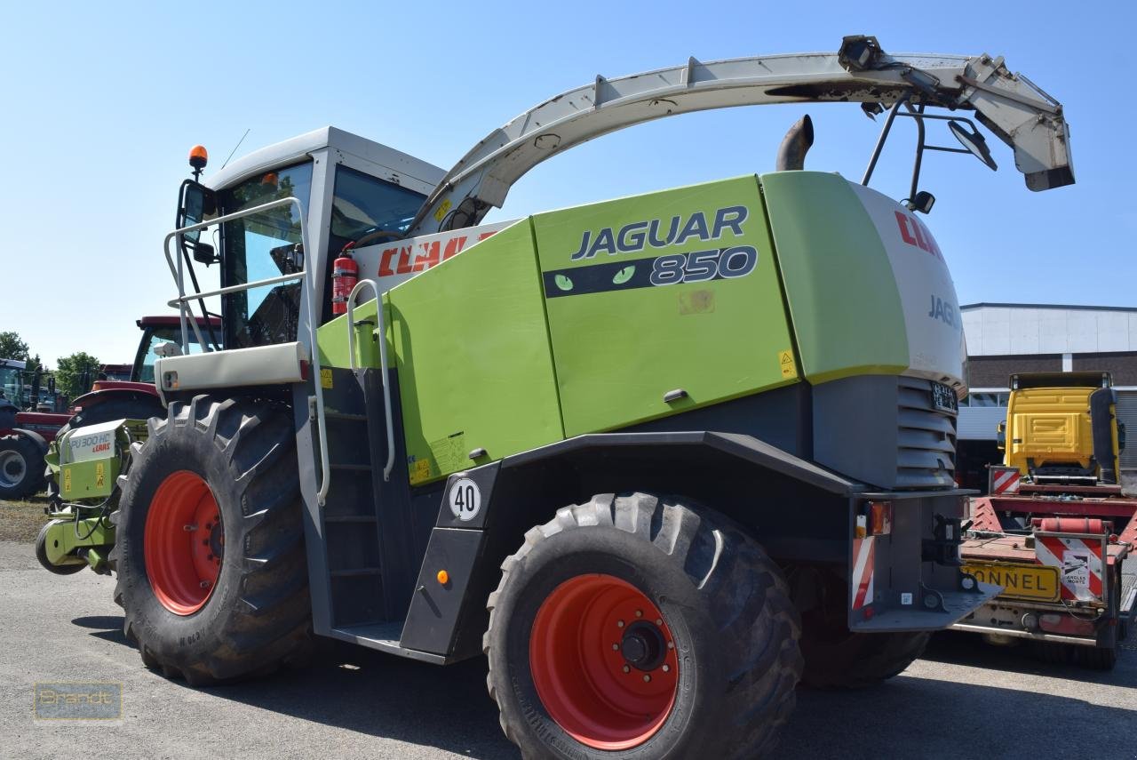 Feldhäcksler des Typs CLAAS Jaguar 850 Speedstar, Gebrauchtmaschine in Oyten (Bild 3)