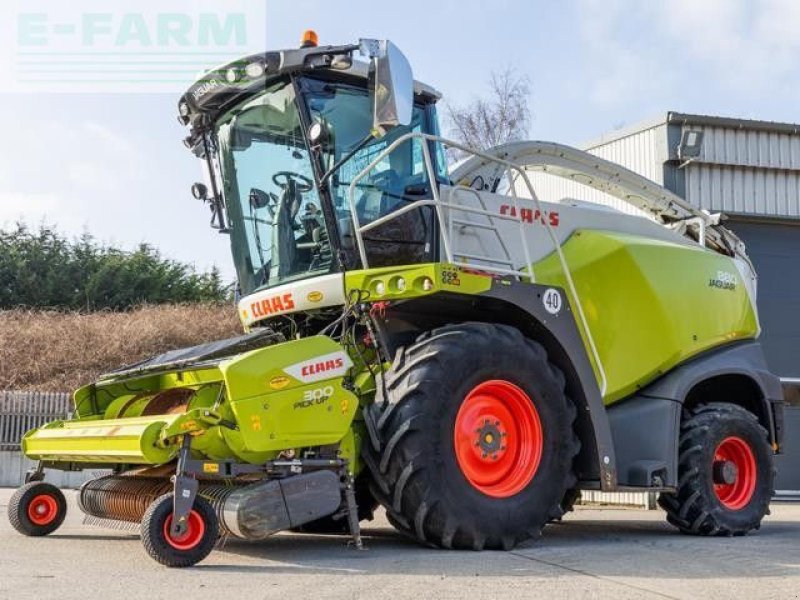 Feldhäcksler van het type CLAAS JAGUAR 880 4WD, Gebrauchtmaschine in LAUNCESTON (Foto 1)