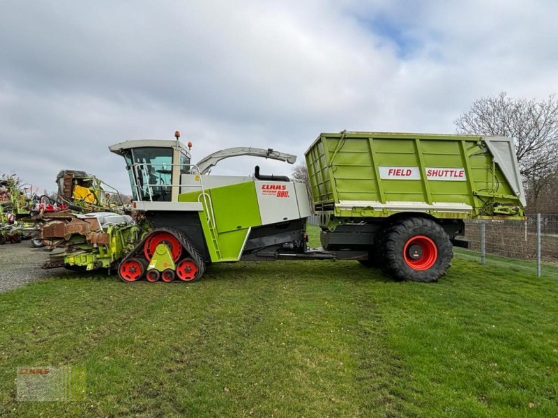 Feldhäcksler del tipo CLAAS JAGUAR 880 FIELD SHUTTLE, Container 36 cbm, Raupen, Gebrauchtmaschine en Westerstede (Imagen 2)