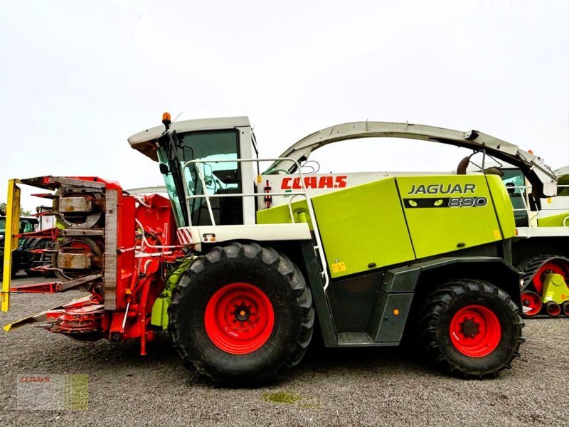 Feldhäcksler van het type CLAAS JAGUAR 890 SPEEDSTAR (492) Allrad 4WD, 40 km/h, KE, Gebrauchtmaschine in Molbergen (Foto 2)