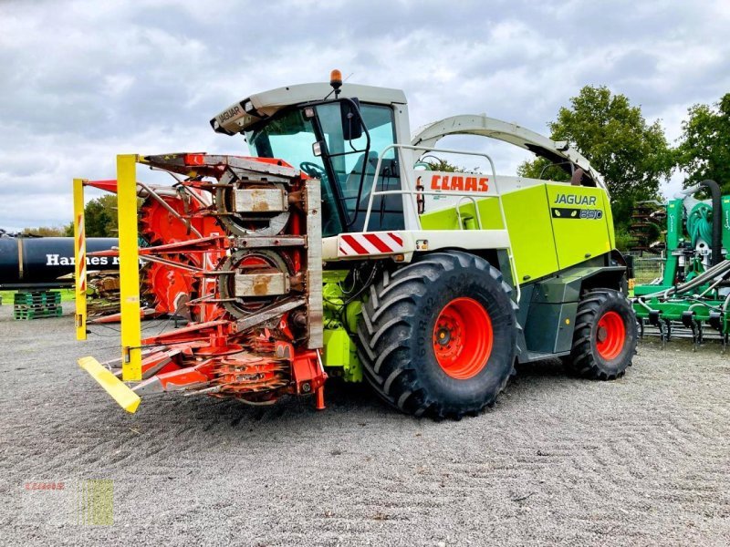 Feldhäcksler des Typs CLAAS JAGUAR 890 SPEEDSTAR (492) Allrad 4WD, 40 km/h, KE, Gebrauchtmaschine in Molbergen (Bild 1)