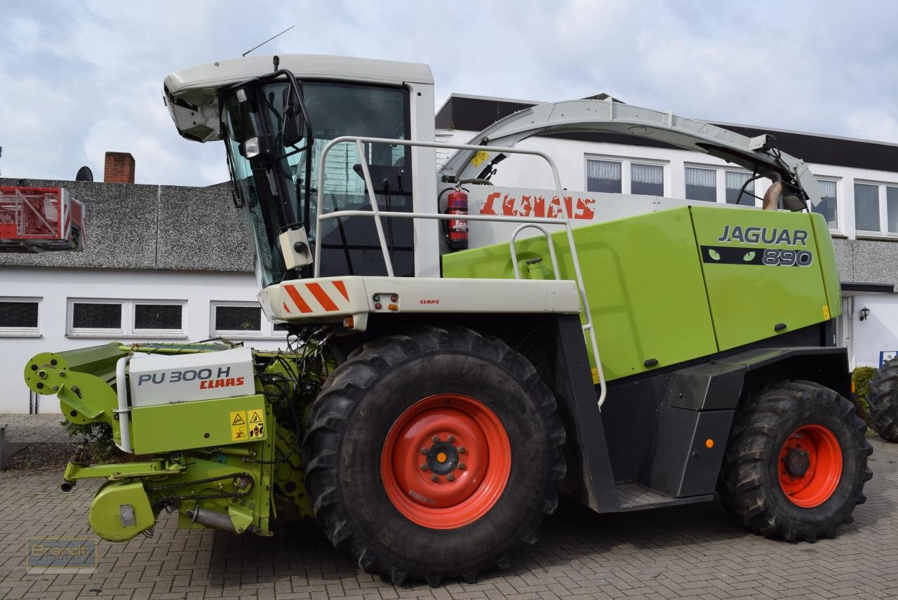 Feldhäcksler Türe ait CLAAS Jaguar 890 Speedstar, Gebrauchtmaschine içinde Oyten (resim 2)