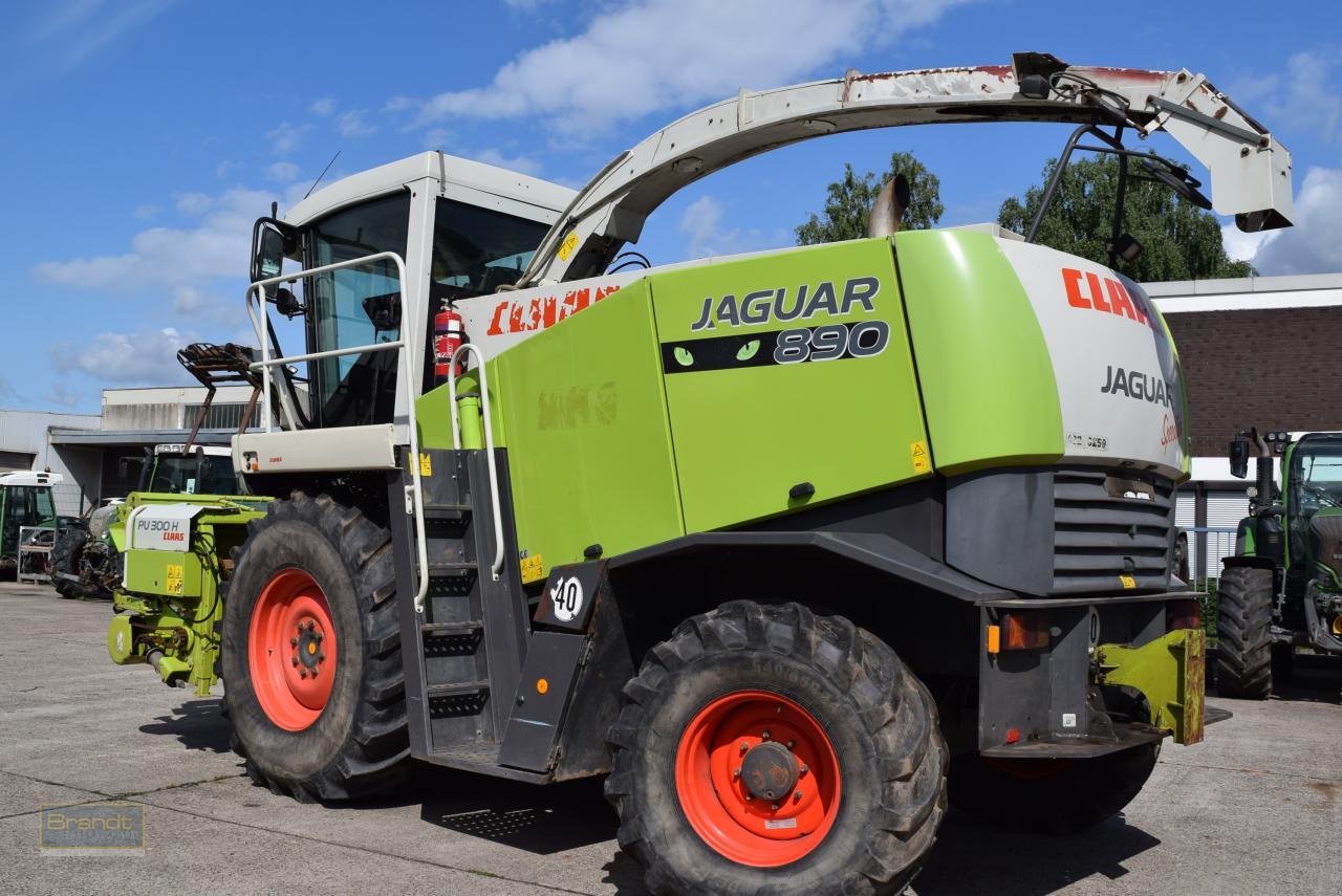 Feldhäcksler van het type CLAAS Jaguar 890 Speedstar, Gebrauchtmaschine in Oyten (Foto 4)