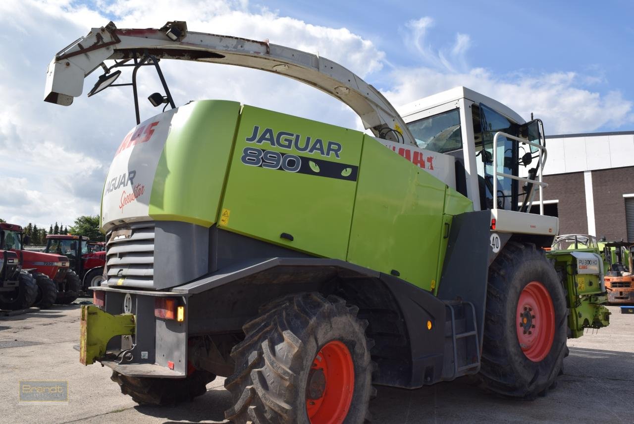 Feldhäcksler van het type CLAAS Jaguar 890 Speedstar, Gebrauchtmaschine in Oyten (Foto 5)