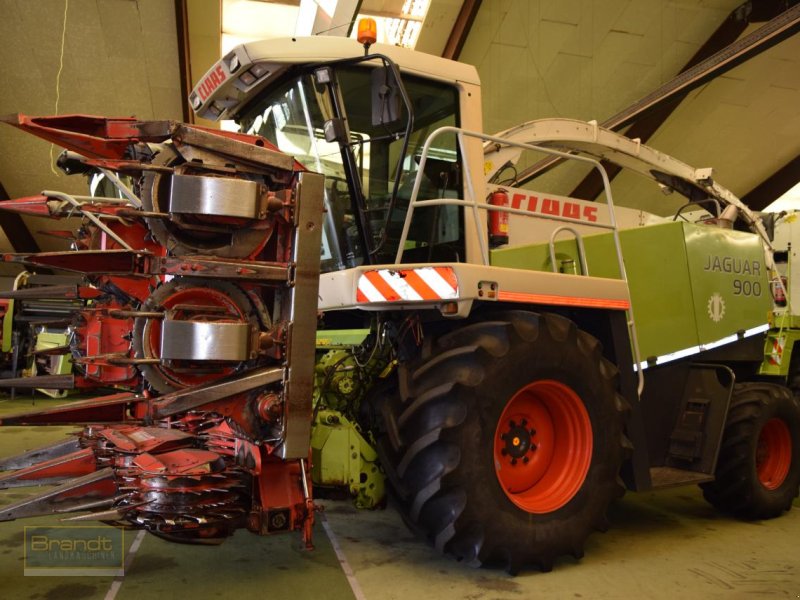 Feldhäcksler des Typs CLAAS Jaguar 900, Gebrauchtmaschine in Oyten (Bild 1)