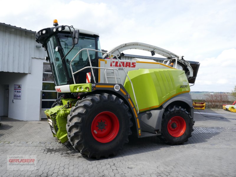 Feldhäcksler des Typs CLAAS Jaguar 930, Gebrauchtmaschine in Dorfen (Bild 1)