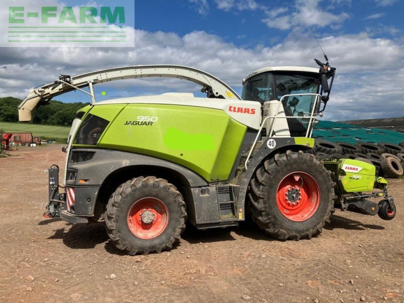 Feldhäcksler van het type CLAAS JAGUAR 950 STAGE V 4WD, Gebrauchtmaschine in CIRENCESTER (Foto 1)