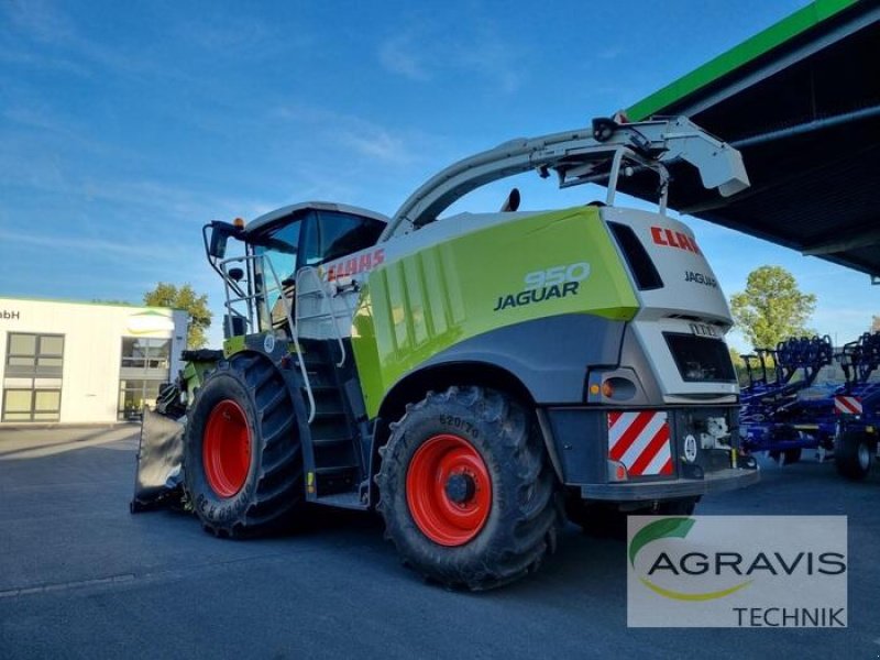 Feldhäcksler typu CLAAS JAGUAR 950, Gebrauchtmaschine w Lage (Zdjęcie 3)