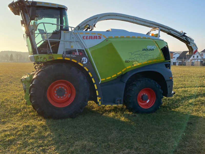 Feldhäcksler of the type CLAAS Jaguar 950, Gebrauchtmaschine in Osterberg (Picture 1)