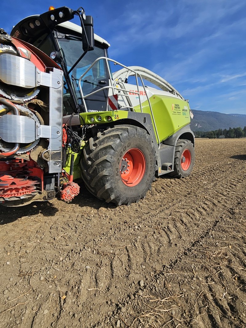 Feldhäcksler van het type CLAAS Jaguar 950, Gebrauchtmaschine in Domdidier (Foto 3)