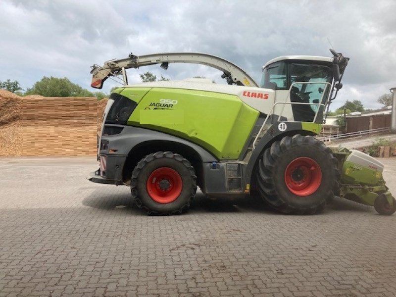 Feldhäcksler des Typs CLAAS Jaguar 950, Gebrauchtmaschine in Hofgeismar (Bild 2)