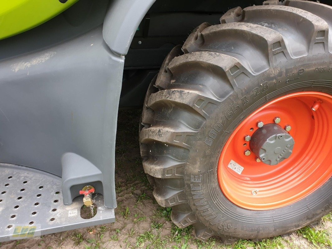 Feldhäcksler of the type CLAAS Jaguar 960, Neumaschine in Schenkenberg (Picture 10)