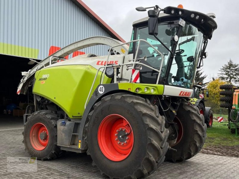 Feldhäcksler tip CLAAS Jaguar 980, Mietmaschine in Schora (Poză 1)