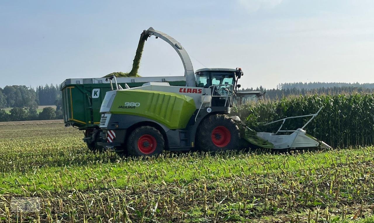 Feldhäcksler типа CLAAS Jaguar 980, Gebrauchtmaschine в Pragsdorf (Фотография 1)