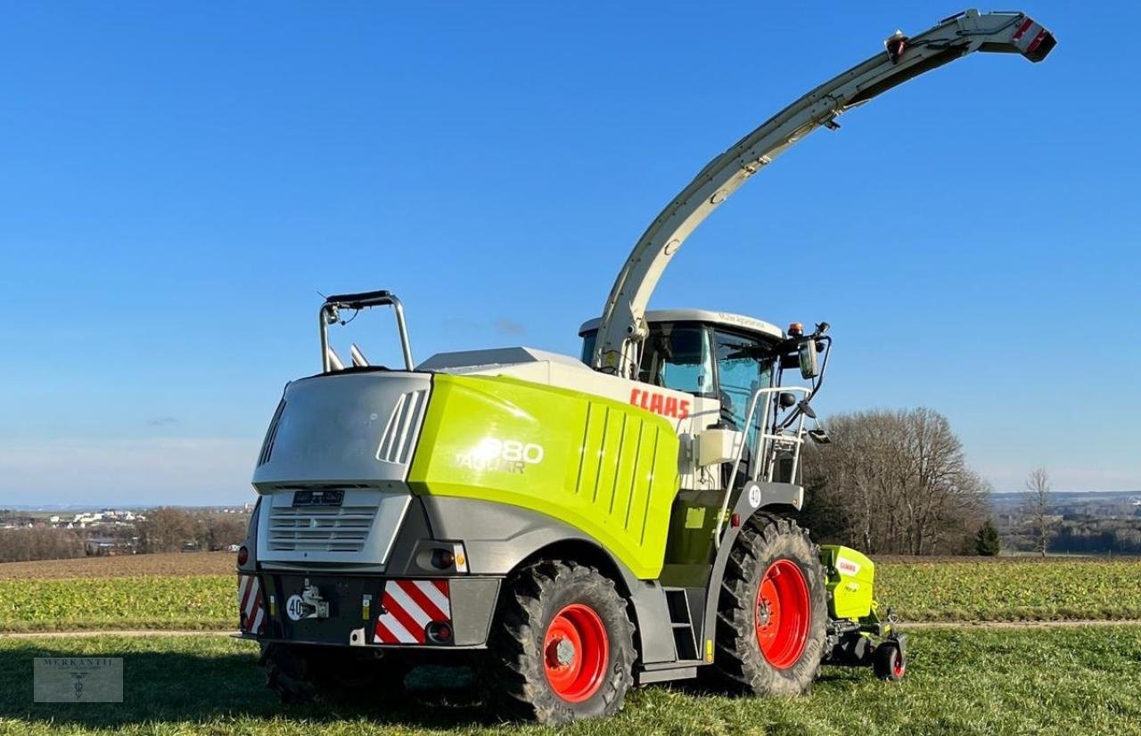 Feldhäcksler a típus CLAAS Jaguar 980, Gebrauchtmaschine ekkor: Pragsdorf (Kép 3)