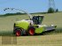 Feldhäcksler Türe ait CLAAS Jaguar 990 RTK GPS Vollausstattung+orbis 900, Gebrauchtmaschine içinde Eichendorf (resim 6)