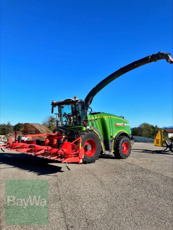 Feldhäcksler of the type Fendt KATANA 650 GEN3 FENDT HÄCKSLER, Vorführmaschine in Peiting (Picture 1)