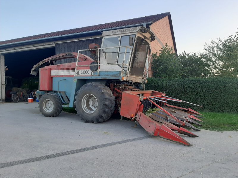 Feldhäcksler typu Mengele SF 6600, Gebrauchtmaschine w Kleinlangheim (Zdjęcie 1)