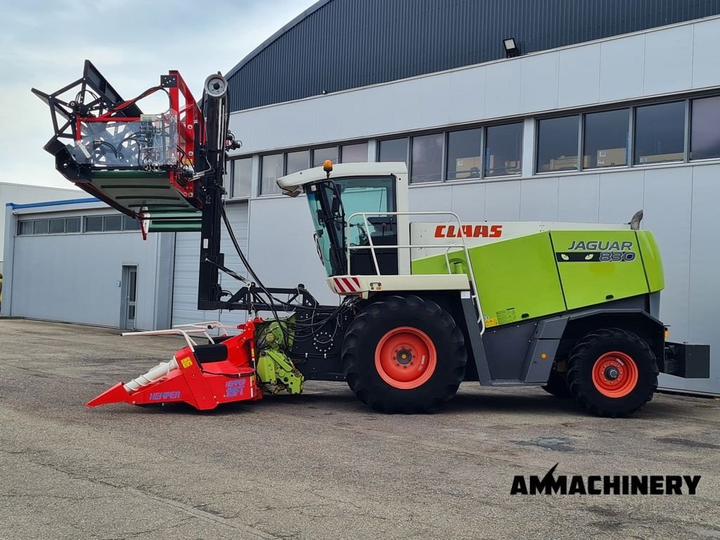 Feldhäcksler типа Sonstige Claas Jaguar 830 Double Cut HEMPER, Gebrauchtmaschine в Horst (Фотография 4)