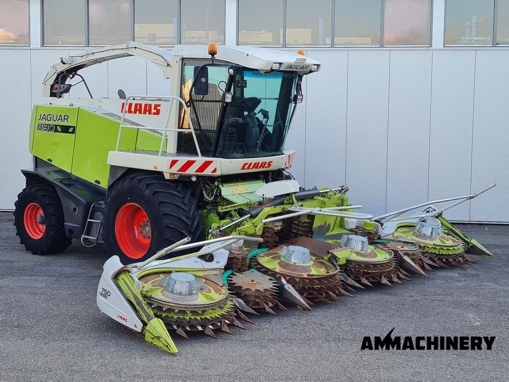 Feldhäcksler typu Sonstige Claas Jaguar 890, Gebrauchtmaschine w Horst (Zdjęcie 2)