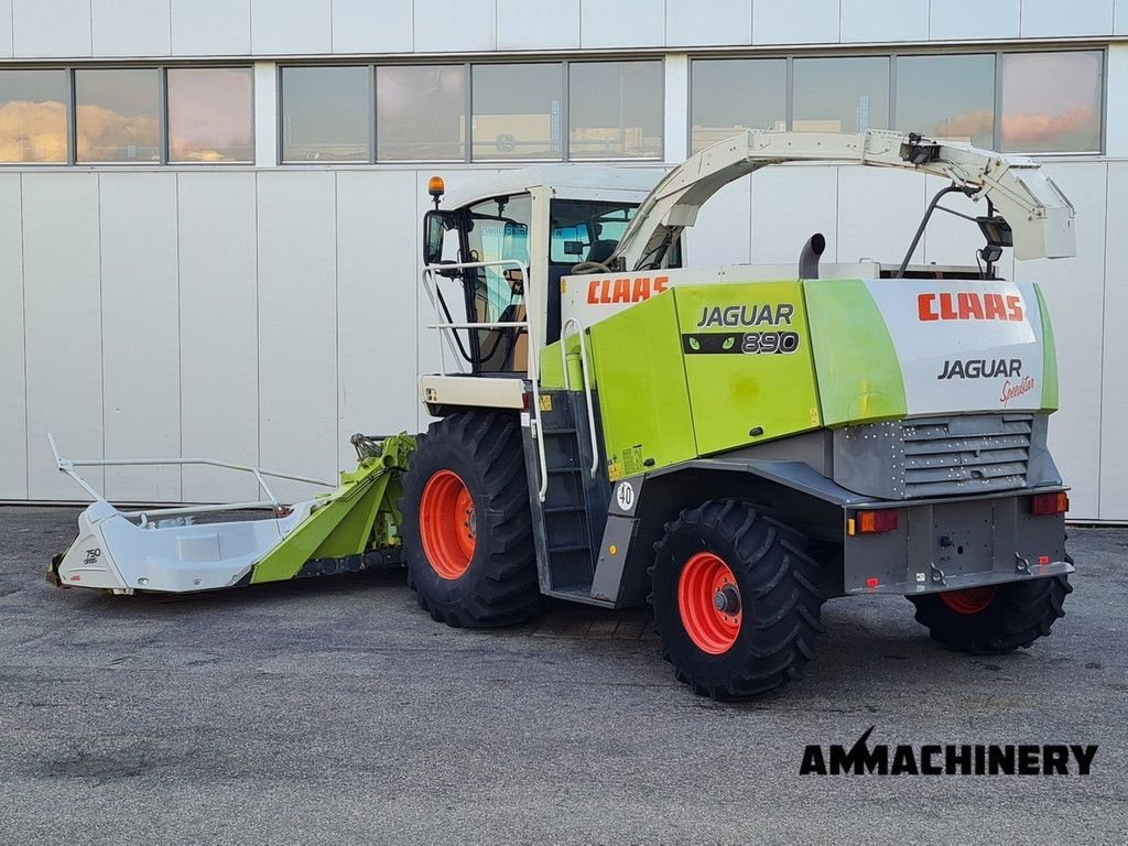 Feldhäcksler van het type Sonstige Claas Jaguar 890, Gebrauchtmaschine in Horst (Foto 3)