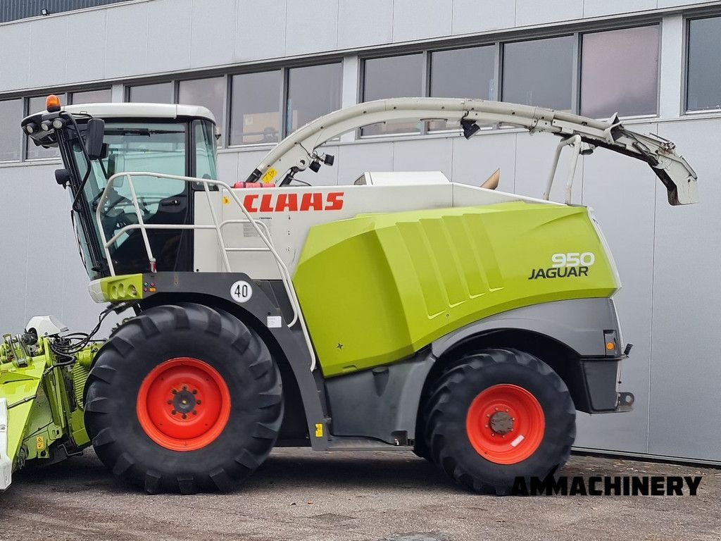 Feldhäcksler des Typs Sonstige Claas Jaguar 950, Gebrauchtmaschine in Horst (Bild 3)