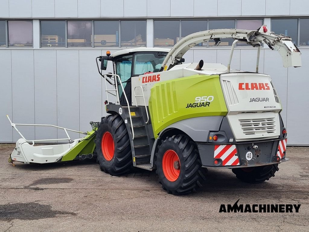 Feldhäcksler des Typs Sonstige Claas Jaguar 950, Gebrauchtmaschine in Horst (Bild 4)