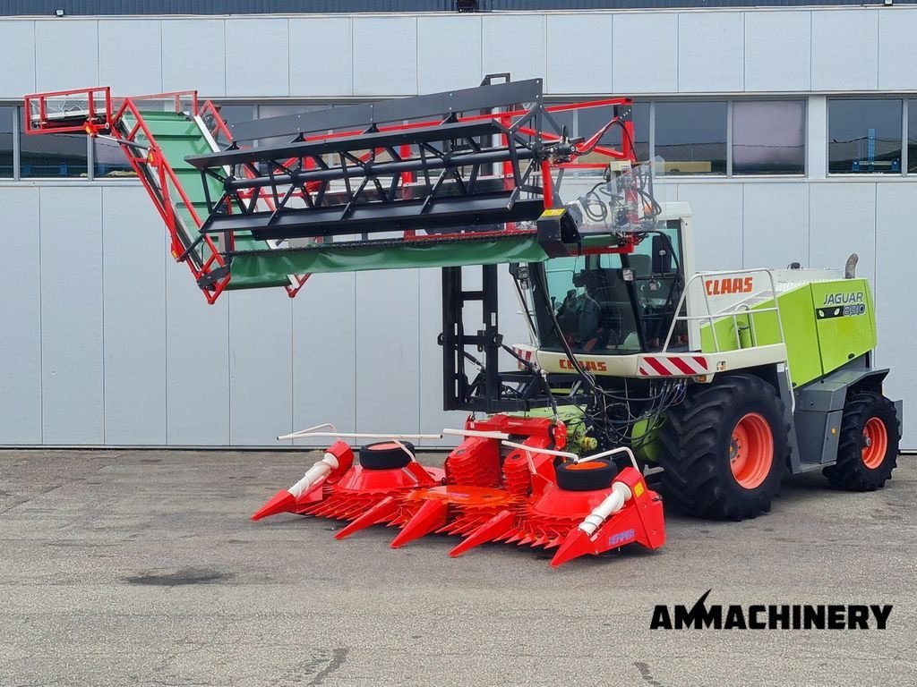 Feldhäcksler van het type Sonstige Claas Jaguar Double Cut HEMPER, Gebrauchtmaschine in Horst (Foto 2)