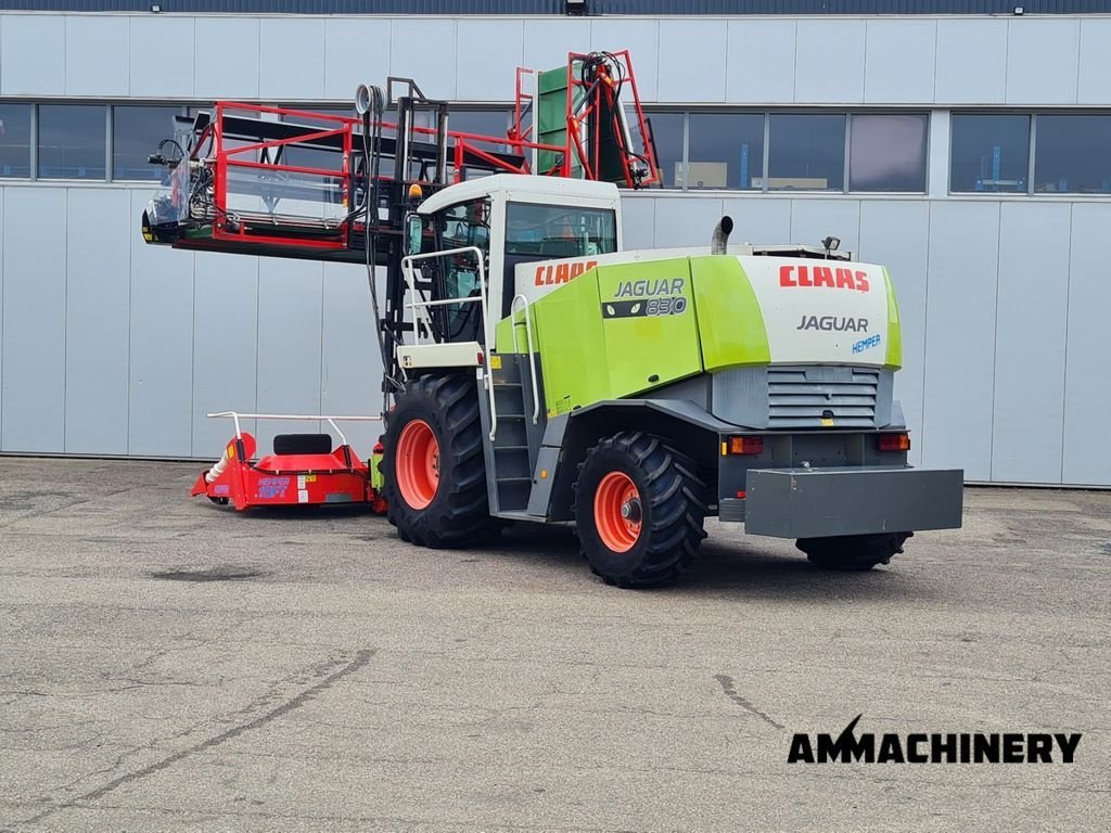 Feldhäcksler van het type Sonstige Claas Jaguar Double Cut HEMPER, Gebrauchtmaschine in Horst (Foto 9)