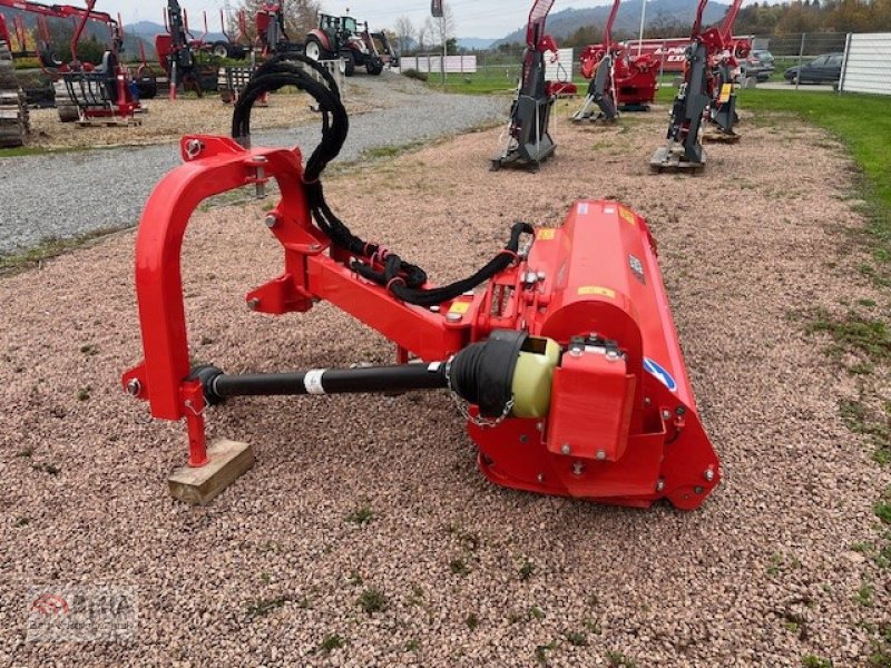 Forstfräse & Forstmulcher typu BEHA Gebr. Auslege Mulcher AGF 240, Gebrauchtmaschine v Steinach (Obrázok 3)