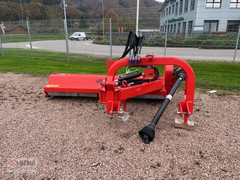 Forstfräse & Forstmulcher typu BEHA Gebr. Auslege Mulcher AGF 240, Gebrauchtmaschine v Steinach (Obrázok 4)