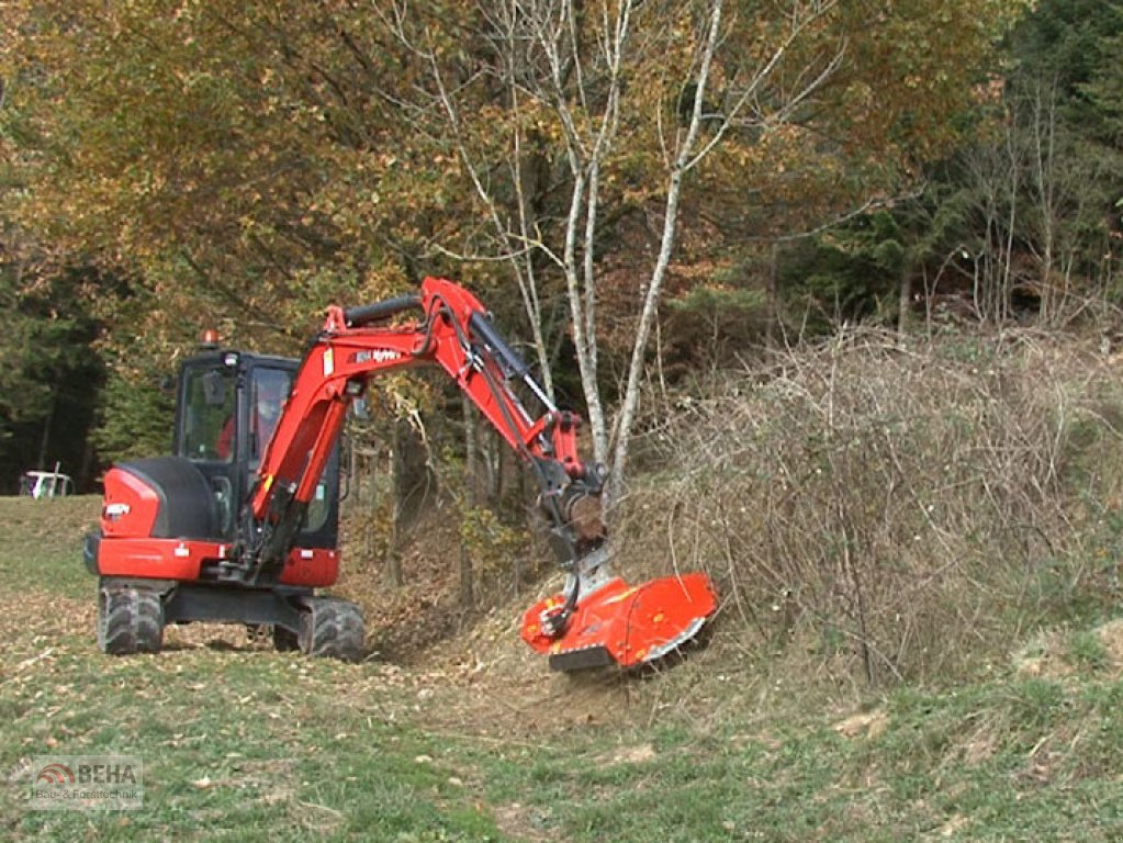 Forstfräse & Forstmulcher Türe ait BEHA TLBE 120, Neumaschine içinde Steinach (resim 4)