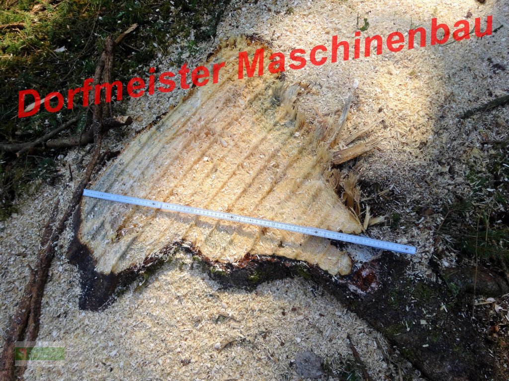 Forstfräse & Forstmulcher typu Dorfmeister 🌲Forstmulcher 🌲Forstfräse FM-1250, Neumaschine v Roßbach (Obrázek 12)