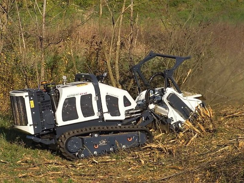 Forstfräse & Forstmulcher of the type Sonstige Hymach Funkraupe Mähraupe Mulchraupe Geräteträger Forstraupe, Gebrauchtmaschine in Schmallenberg (Picture 1)