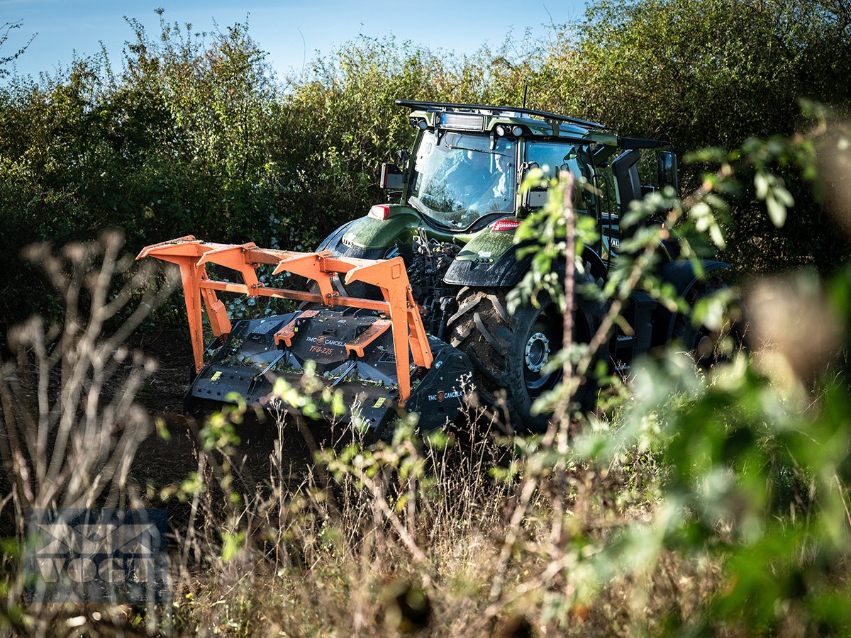 Forstfräse & Forstmulcher des Typs TMC Cancela TFG-225 Forstmulcher /Mulcher für Traktor-Lagergerät-Aktionsangebot, Neumaschine in Schmallenberg (Bild 5)