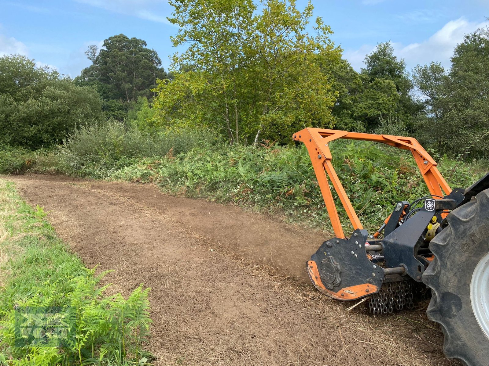 Forstfräse & Forstmulcher za tip TMC Cancela TFJ-150 Forstmulcher /Mulcher für Traktor-Aktionsangebot, Neumaschine u Schmallenberg (Slika 7)