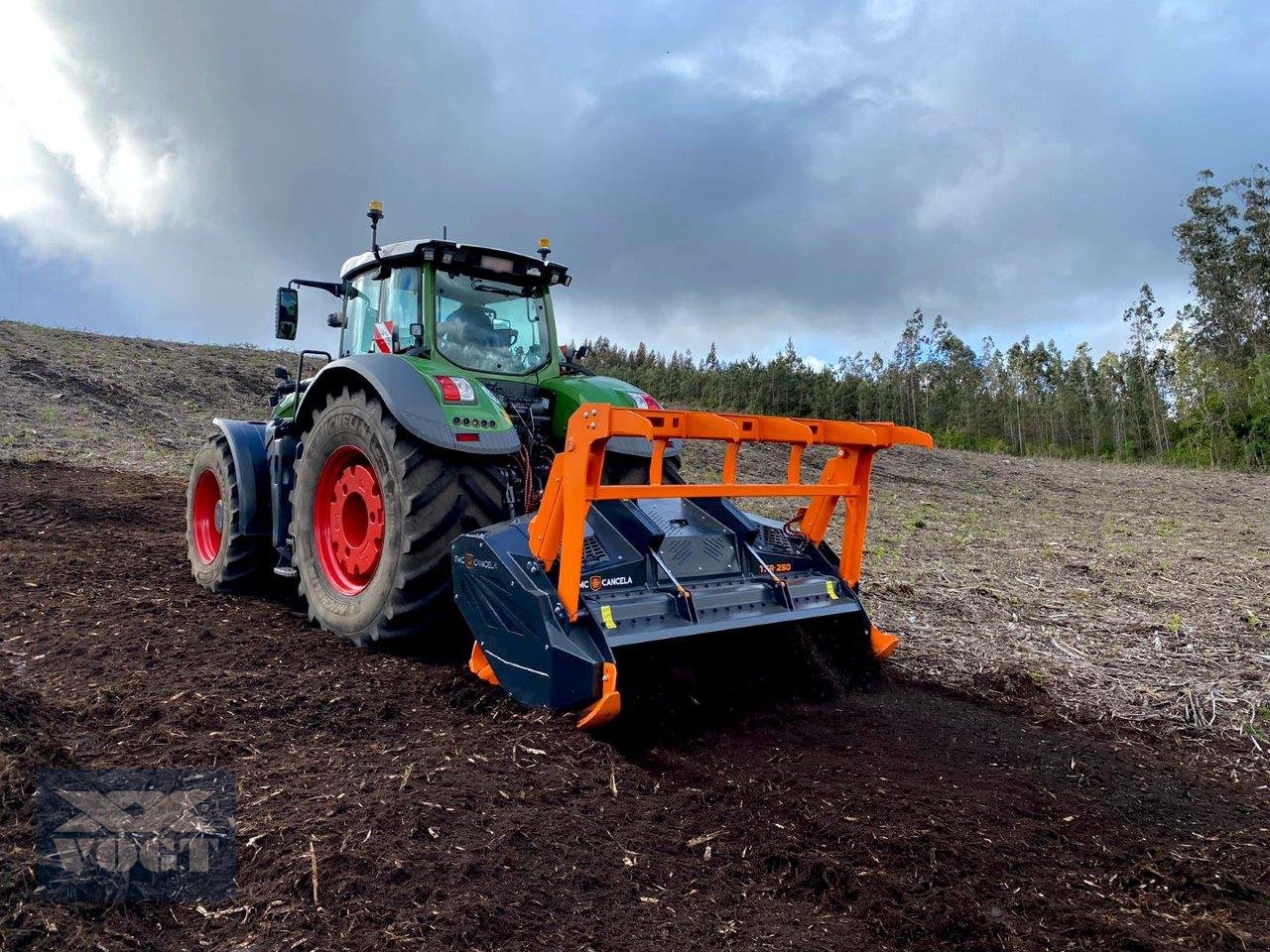 Forstfräse & Forstmulcher Türe ait TMC Cancela TFR-250N Forstmulcher/Mulcher für Traktor-Aktionsangebot-, Neumaschine içinde Schmallenberg (resim 3)