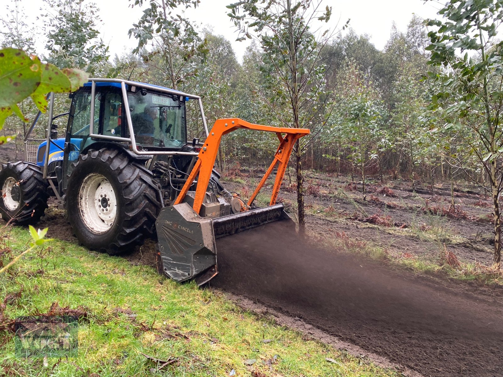 Forstfräse & Forstmulcher Türe ait TMC Cancela TFS-180 Forstmulcher /Mulcher für Traktor-Aktionsangebot-, Neumaschine içinde Schmallenberg (resim 3)