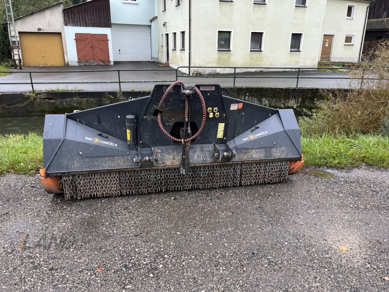 Forstfräse & Forstmulcher del tipo TMC Cancela TXX-250 Steinbrecher / Forstmulcher, Gebrauchtmaschine In Heiligenstadt