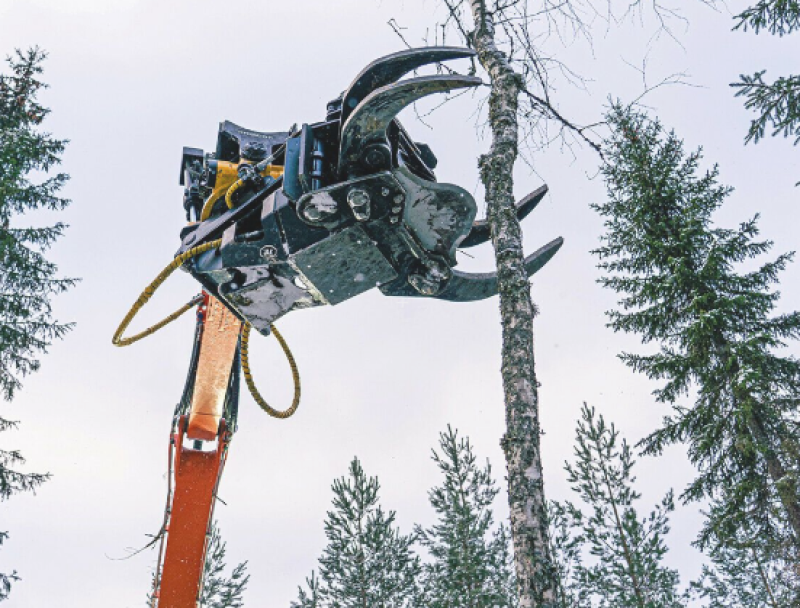 Forstgreifer und Zange a típus JAK JAK 300 R, Neumaschine ekkor: Nittenau (Kép 8)