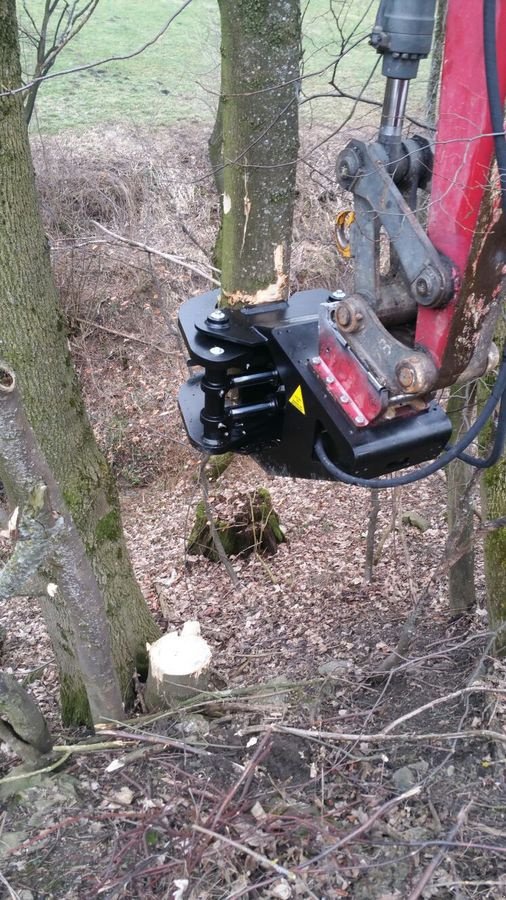 Forstgreifer und Zange du type Sonstige Fällgreifer, Neumaschine en Berndorf (Photo 14)