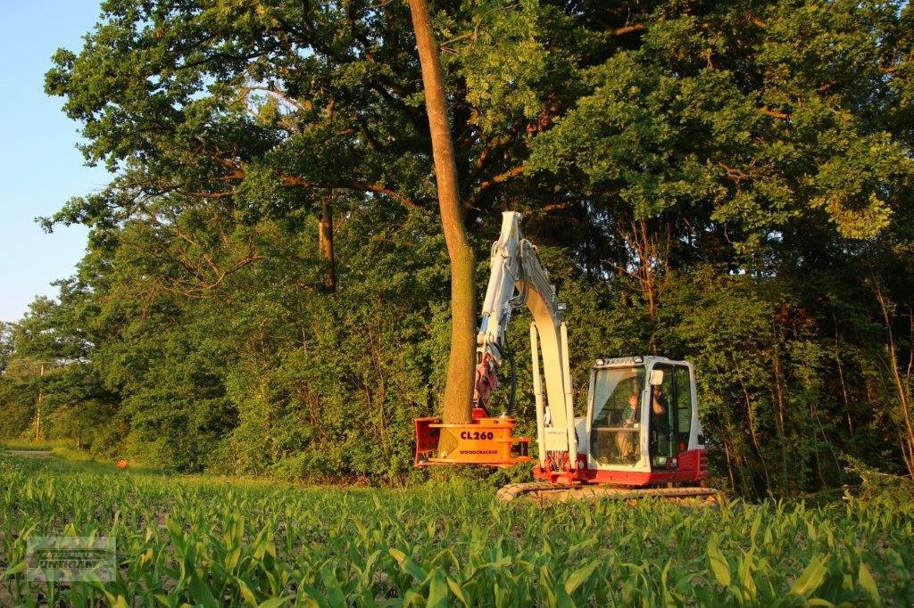 Forstgreifer und Zange a típus westtech Woodcracker CL 260, Neumaschine ekkor: Deutsch - Goritz (Kép 4)