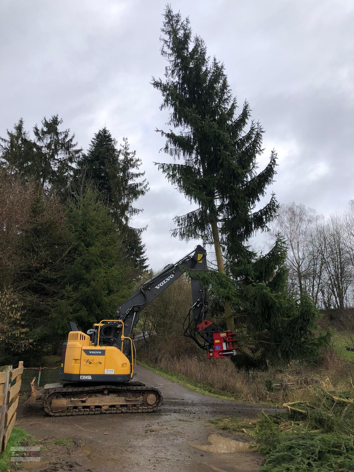 Forstgreifer und Zange van het type Zwicki Zwicki S4-400, Neumaschine in Pfarrkirchen (Foto 7)