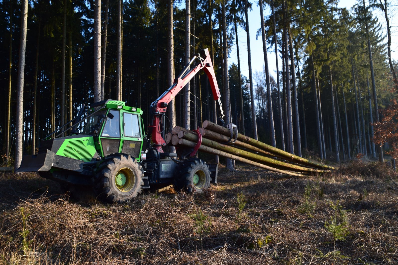 Forstschlepper des Typs Noe 170, Gebrauchtmaschine in Dietersheim (Bild 2)