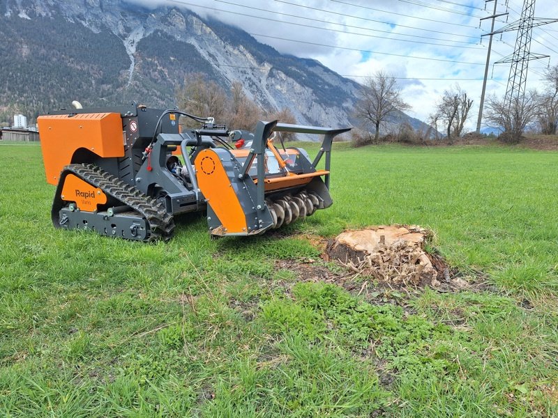 Forstschlepper of the type Rapid RoboFlail Vario D501 Mulchraupe, Ausstellungsmaschine in Chur (Picture 6)