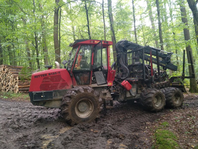 Forstschlepper des Typs Ritter R 185, Gebrauchtmaschine in Untermerzbach (Bild 1)