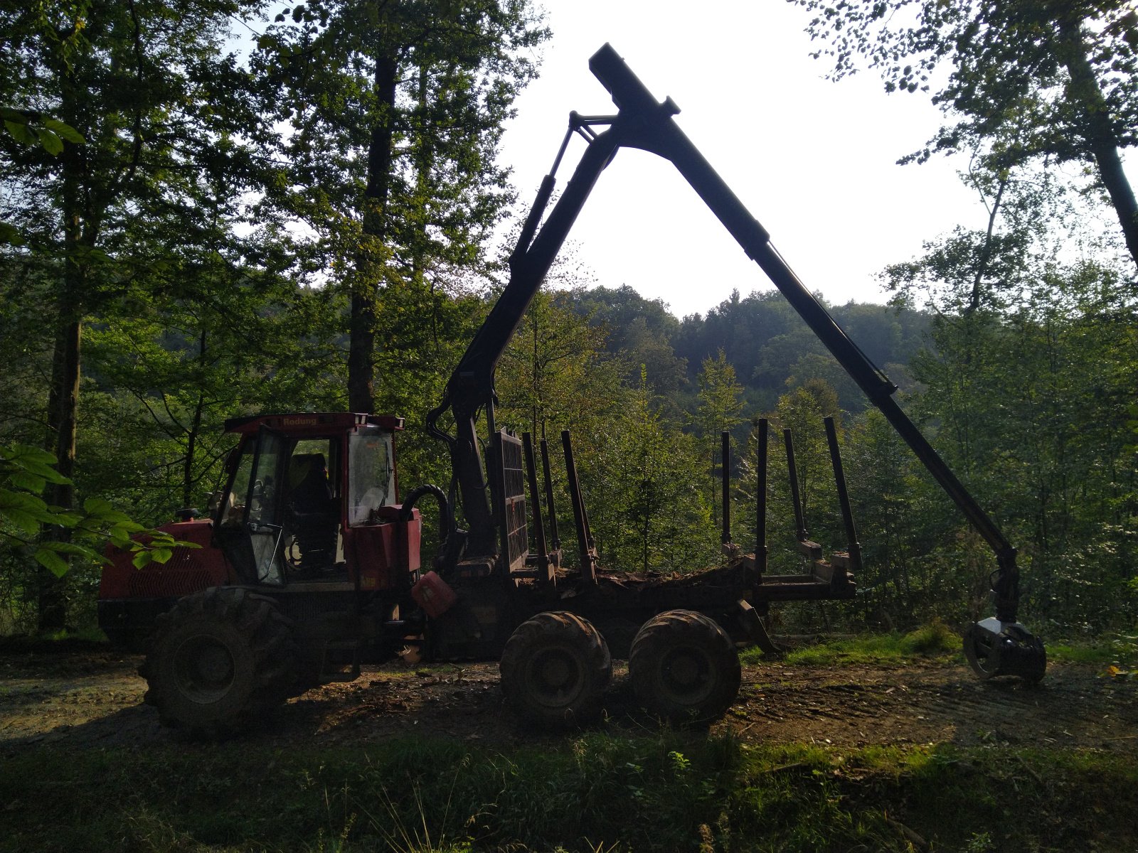 Forstschlepper tip Ritter R 185, Gebrauchtmaschine in Untermerzbach (Poză 2)