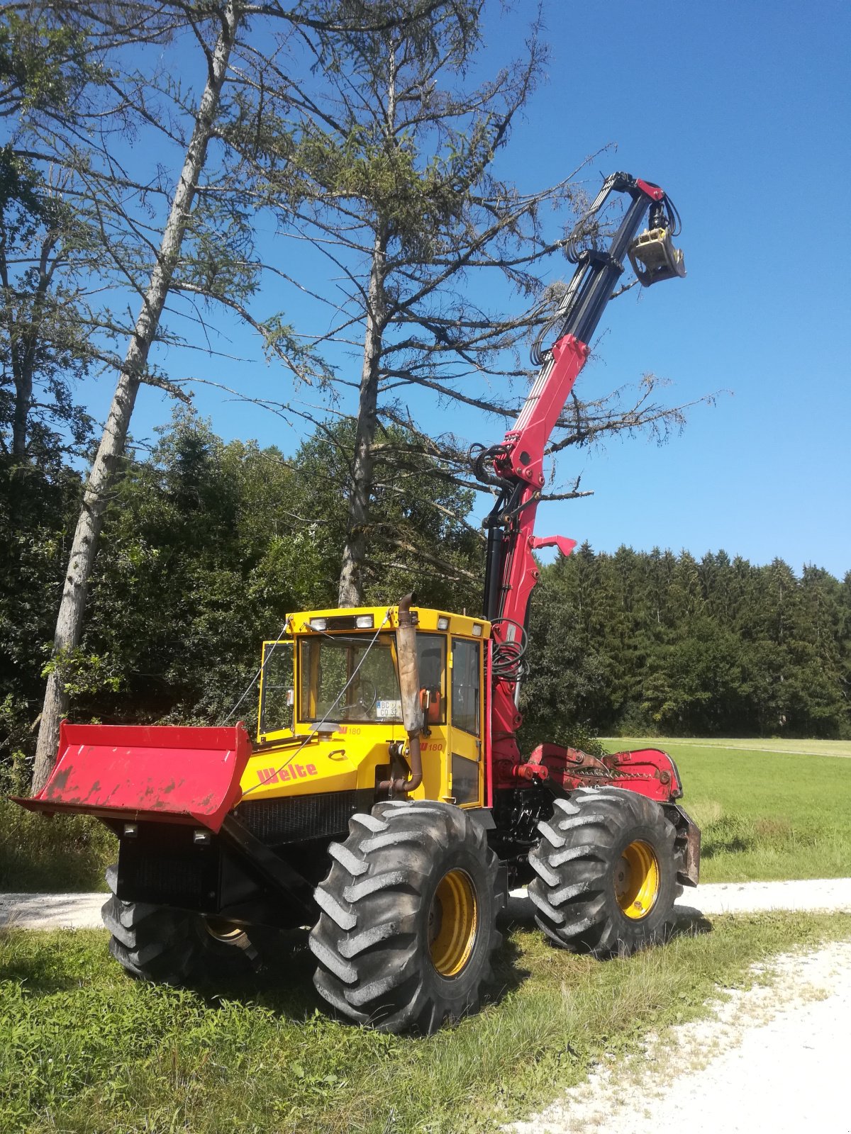 Forstschlepper za tip Welte W 180, Gebrauchtmaschine u Binzwangen (Slika 4)