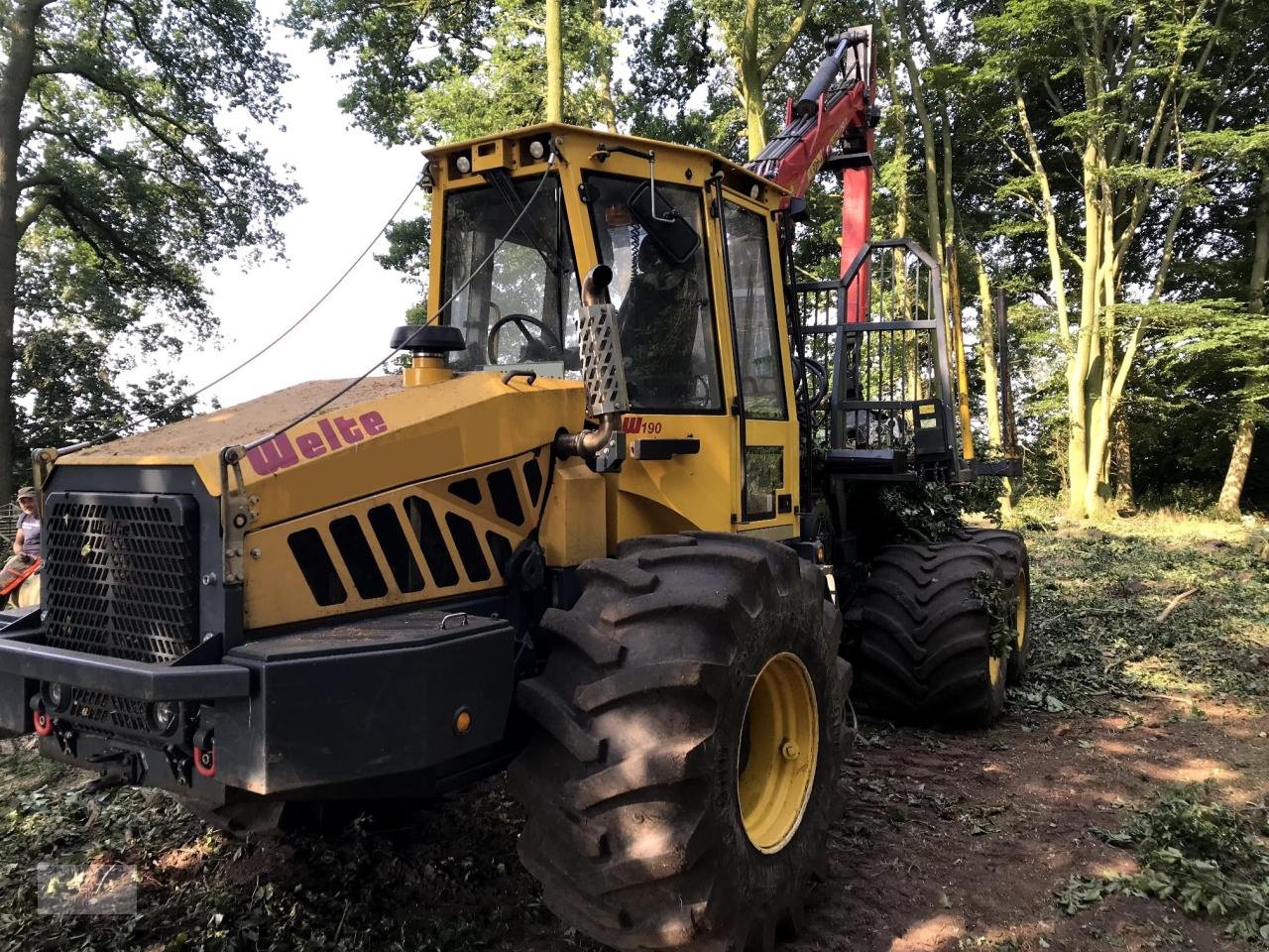 Forstschlepper des Typs Welte W190, Gebrauchtmaschine in Pragsdorf (Bild 2)