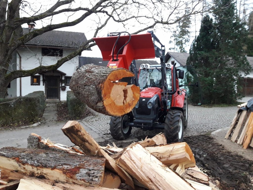 Frontlader от тип Sonstige Kegelspalter Bagger Front Radlader 800 ccm mit Euroaufnahme, Neumaschine в Ingolstadt (Снимка 2)